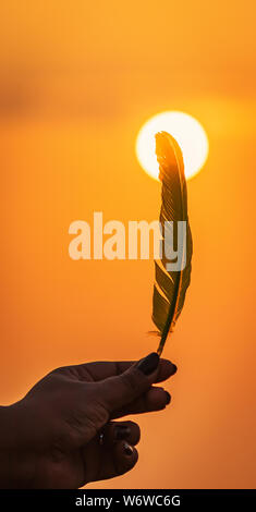 Feather/escadre a ressuscité dans le ciel au coucher de soleil coucher de soleil en arrière-plan. concept. Girl holding/ flying feather Banque D'Images