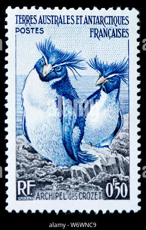 Australes et Antarctiques France - Timbre Rockhopper Penguin Banque D'Images