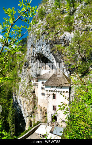 Vue sur château de Predjama, un château Renaissance construit dans une grotte bouche dans le centre-sud de la Slovénie Banque D'Images