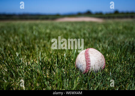 Le "Champ de rêves'. Un terrain de baseball construit dans le vignoble de Balletto Winery, dans le Comté de Sonoma, en Californie. Banque D'Images