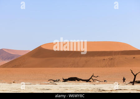 Dispose de dunes rouges du désert de Namib, Namibie Banque D'Images