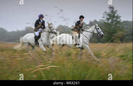 L'ECOSSE , Scottish Borders Lauder , , le Berwickshire , UK, Royaume-Uni. Août 2019 3ème circonscription commune. 2019 Lauder Le point culminant de la commune de Lauder, semaine d'équitation de Lauder 'Cornet' Christopher Purves est chargé de diriger un défilé d'environ 400 cents chevaux sur un tour de la frontière communes frontières, portant le drapeau et les couleurs des villes le long de la ride. Phil Pic Wilkinson / Alamy Live News Banque D'Images