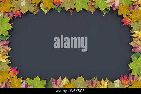 Tableau horizontal vide poster avec cadre fait de feuilles, concept de vente ou de l'automne automne retour à l'école, rendu 3D, 3d illustration Banque D'Images