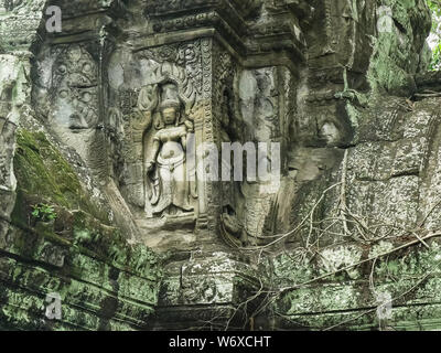 Une grande sculpture de devata sur un mur de ta prohm temple près de Angkor Wat, au Cambodge Banque D'Images