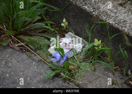 Un paquet de cigarettes vide gisant sur le bord de la route, négligemment jeté. Certaines mauvaises herbes autour. Banque D'Images