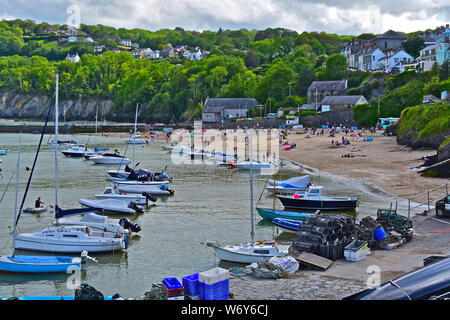 Newquay beach & harbour.avec bacs & poissons / Crabe des casiers à homard empilés sur le quai. Banque D'Images