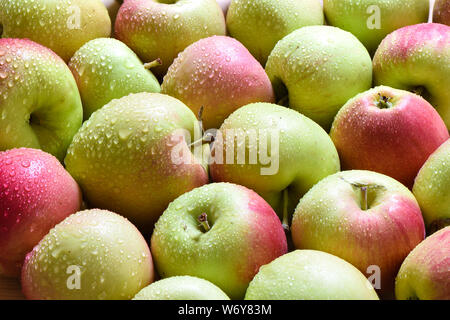 Gouttes d'eau sur des pommes mûres. Un lot de pommes comme arrière-plan. Style rustique. Banque D'Images
