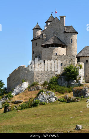 Le château royal, Szczecin, l'une des plus belles forteresses sur le sentier des nids d'aigles en Pologne. Banque D'Images