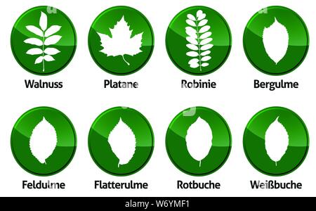 Feuillage feuilles caduques forêt contour vector isolated Illustration de Vecteur