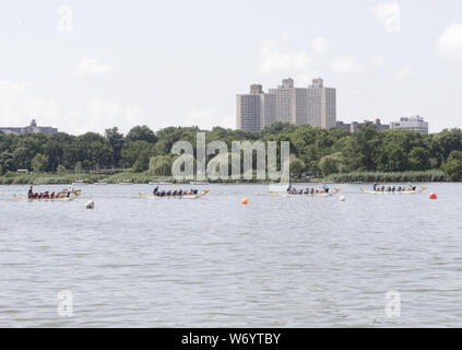 New York, NY, USA. 3e août 2019. Flushing, Queens, New York, USA, 03 août 2019 - Des milliers de personnes ont participé au premier jour de la 29e courses de bateaux-dragons à Flushing Lake dans le Queens New York.Photo : Luiz Rampelotto/EuropaNewswire.Crédit photo obligatoire. Credit : Luiz Rampelotto/ZUMA/Alamy Fil Live News Banque D'Images