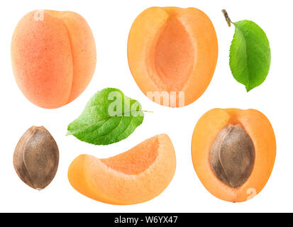 Abricots isolés collection. Ensemble et couper l'abricot fruits, feuilles et noyau isolé sur fond blanc avec clipping path Banque D'Images