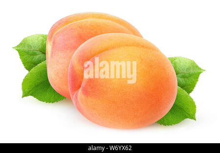 Abricots frais isolé. Deux fruits entiers avec des feuilles isolées sur fond blanc avec clipping path Banque D'Images