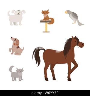 Animaux domestiques illustrations vector set. Cartoon toy chiens, chats, animaux de race mongrel, chiots. Oiseau exotique perroquet gris, et bon cheval, étalon, mare avec de beaux cheveux crinière Illustration de Vecteur