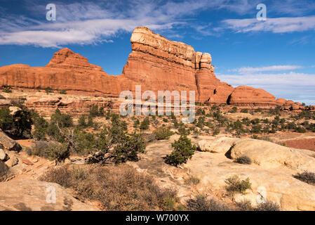 Red Rock unique des formes dans les aiguilles District de Canyonlands National Park, en Utah. Banque D'Images