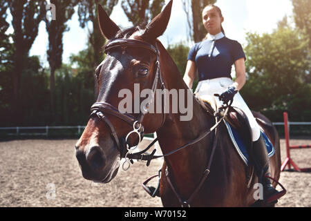 Jockey girl portrait à côté d'un cheval, l'équitation, le concept de l'annonce d'un club hippique, la préparation pour les sauts. L'été. Banque D'Images