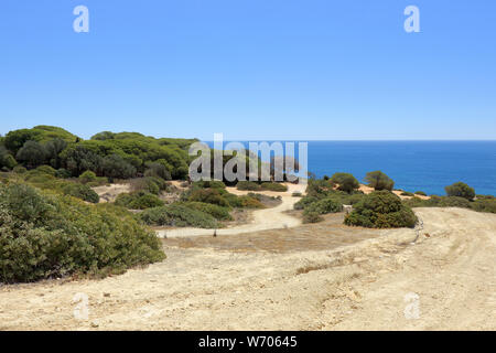 Caminho da Baleeira près de la réserve naturelle de l'Algarve Albufeira Banque D'Images