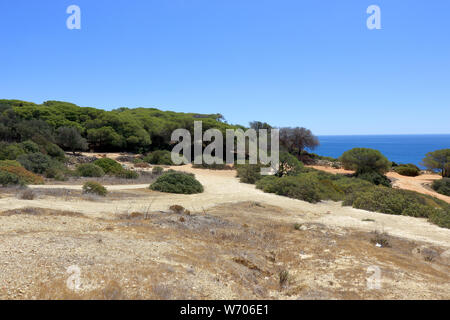 Des pistes de terre à travers le Caminho da Baleeira Nature Reserve près de Albufeira Banque D'Images