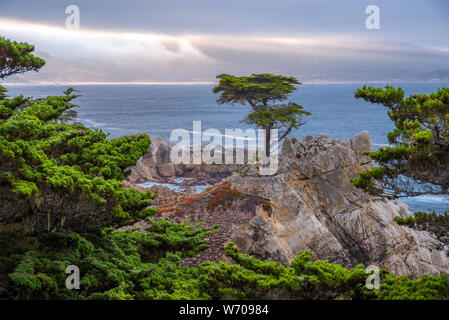 Tôt le matin dans la région de Carmel-by-the-Sea, Californie Banque D'Images