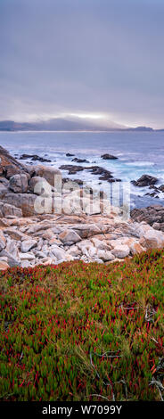 Tôt le matin dans la région de Carmel-by-the-Sea, Californie Banque D'Images