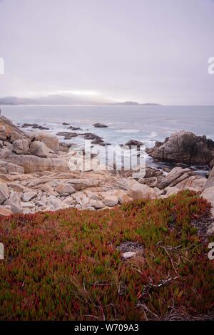 Tôt le matin dans la région de Carmel-by-the-Sea, Californie Banque D'Images