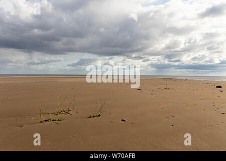 Le front de mer en été sur Santonen Beach sur l'île de Hailuoto et au cours de l'eau peu profonde sont la barre de sable, Ostrobotnie du Nord, en Finlande Banque D'Images