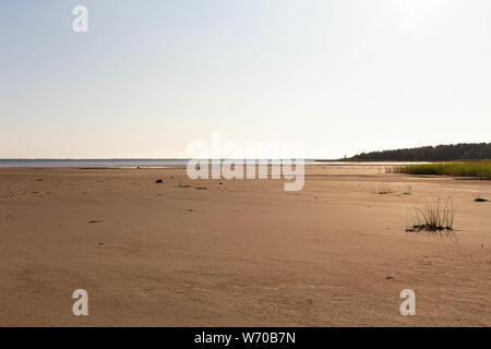 Le front de mer en été sur Santonen Beach sur l'île de Hailuoto, Finlande Banque D'Images