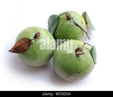 Très doux couleur vert pomme fruit star Banque D'Images