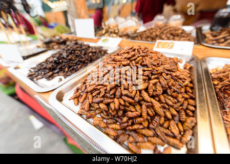 Beaucoup de Ponderosa fried worms dans le bac Banque D'Images