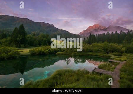 Scène d'été pittoresque des Alpes Juliennes à Kranjska Gora peak sur l'arrière-plan. Merveilleux lever du soleil sur Zelenci réserve naturelle, de la Slovénie, de l'Europe. Être Banque D'Images