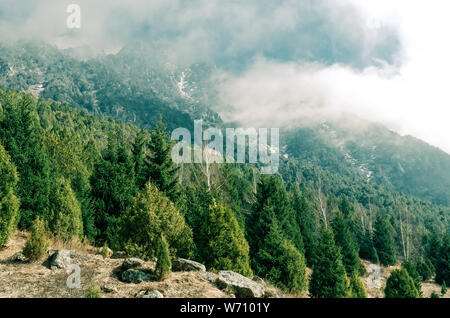 Scenic landcape Ala Archa en parc national, le Kirghizistan Banque D'Images