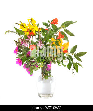 Bouquet coloré in front of white background Banque D'Images