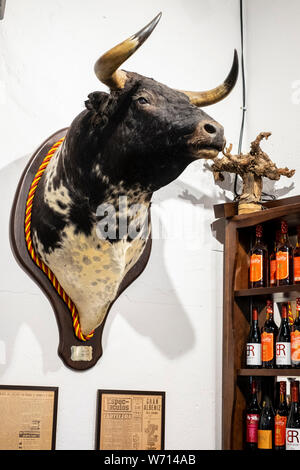 Bulls head en bar à Malaga, Andalousie, Espagne Banque D'Images