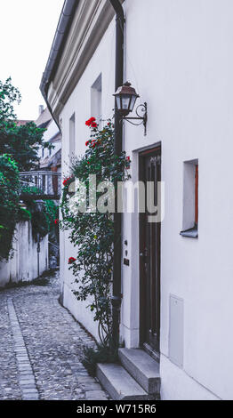 Vue idyllique de façade de maison dans un petit couloir avec des roses Banque D'Images