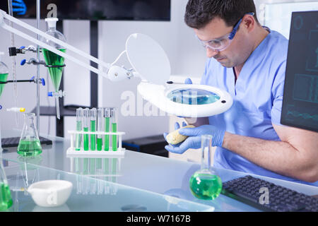 Young caucasian male scientist in lab l'injection de liquide dans le maïs pour l'agriculture à l'essai. Tubes à essai avec green solutions. Banque D'Images