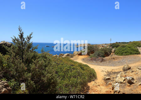 Caminho da Baleeira donnant sur la réserve naturelle Arrifes Praia Da Banque D'Images