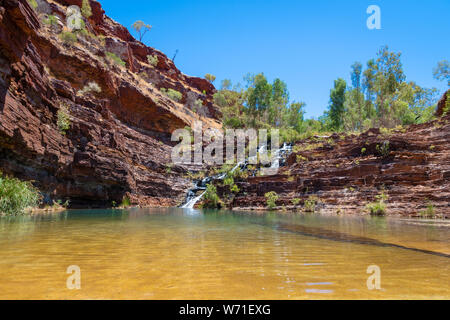 Piscine naturelle à Fortescue Falls au bas de Dales Gorge Parc national de Karijini Australie Banque D'Images