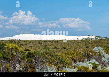 Le Désert des Pinnacles immenses dunes de sable blanc dans le paysage de l'Australie Occidentale Banque D'Images
