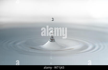 Une goutte d'eau sur un fond blanc sautant et diviser en deux. Banque D'Images