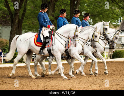 Chicago, USA. 3e août 2019. Chevaux et cavaliers effectuer durant un spectacle de Tempel Lipizzans, une installation d'entraînement de dressage, à Tempel fermes au Old Mill Creek, Illinois, États-Unis, le 3 août 2019. Crédit : Joel Lerner/Xinhua Banque D'Images