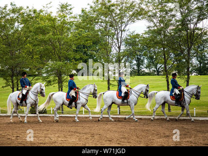 Chicago, USA. 3e août 2019. Chevaux et cavaliers effectuer durant un spectacle de Tempel Lipizzans, une installation d'entraînement de dressage, à Tempel fermes au Old Mill Creek, Illinois, États-Unis, le 3 août 2019. Crédit : Joel Lerner/Xinhua Banque D'Images