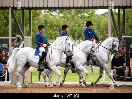 Chicago, USA. 3e août 2019. Chevaux et cavaliers effectuer durant un spectacle de Tempel Lipizzans, une installation d'entraînement de dressage, à Tempel fermes au Old Mill Creek, Illinois, États-Unis, le 3 août 2019. Crédit : Joel Lerner/Xinhua Banque D'Images