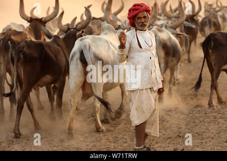 Rabari herder dans un village rural dans le district de Kutch, Gujarat. Le Kutch région est bien connue pour son la vie tribale et la culture traditionnelle. Banque D'Images