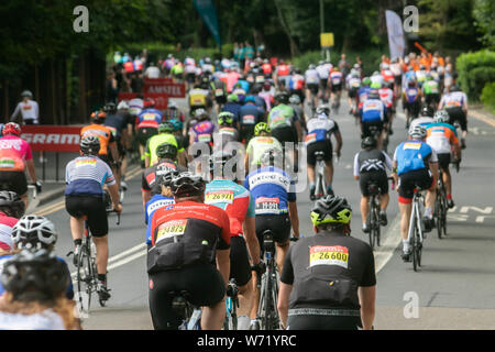 Wimbledon Londres, Royaume-Uni. 4 août 2019. Des centaines de cyclistes grimper Wimbledon Hill road car ils prennent part à la Prudential ride London-Surrey 100 classic course à bicyclette qui starts​ au Queen Elizabeth Olympic Park et se termine au centre commercial. Crédit photo : amer ghazzal/Alamy Live News Banque D'Images