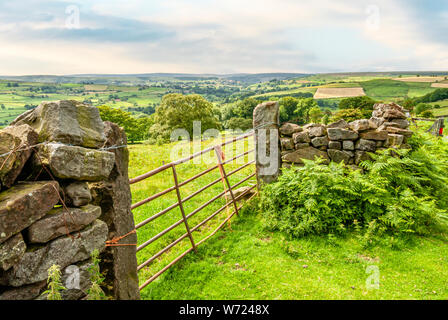 Paysage aux North York Moors ou North Yorkshire Moors dans le North Yorkshire, Angleterre Banque D'Images