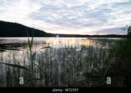 Mögreven Storön, île du lac de Värmland, Suède Banque D'Images