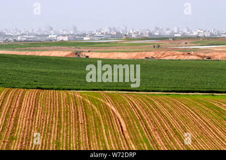 Les champs de culture israélienne près du kibboutz Mefalsim, sauvegarder jusqu'à la frontière de Gaza, sont de couleur verte en Israël, l'hiver doux. Banque D'Images
