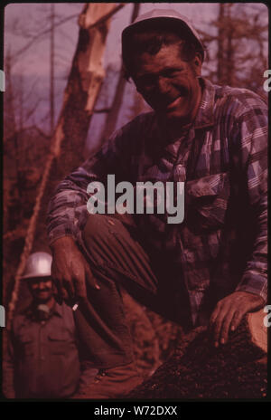 En août 1973 un important feu de forêt a ravagé 17 470 hectares du versant occidental DE LA CHAÎNE DE MONTAGNES SIERRA PRÈS DE SONORA. Un chat SKINNER DANS LA RÉGION CONNUE SOUS LE NOM DE BRÛLER LE FEU DE GRANIT. La CHAÎNE DE SCIAGE À CAT SKINNERS DES TRACTEURS À CHENILLES. Le CHAT TIRE ALORS LES JOURNAUX POUR L'AIRE D'ATTERRISSAGE POUR LE CHARGEMENT DANS DES CAMIONS Banque D'Images