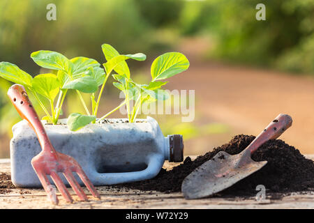 Recyclage plastique concept : les gens de légumes plantation dans une bouteille de plastique et tas de terre sur table en bois avec le soleil de matin temps Banque D'Images