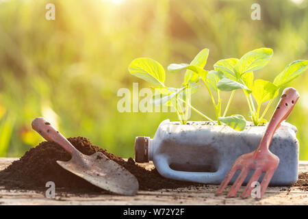 Recyclage plastique concept : les gens de légumes plantation dans une bouteille de plastique et tas de terre sur table en bois avec le soleil de matin temps Banque D'Images