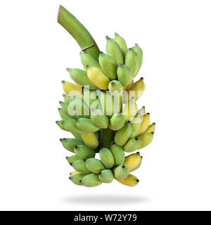 La banane cultivée thaïlandais frais isolé sur fond blanc. Enregistré avec clipping path Banque D'Images